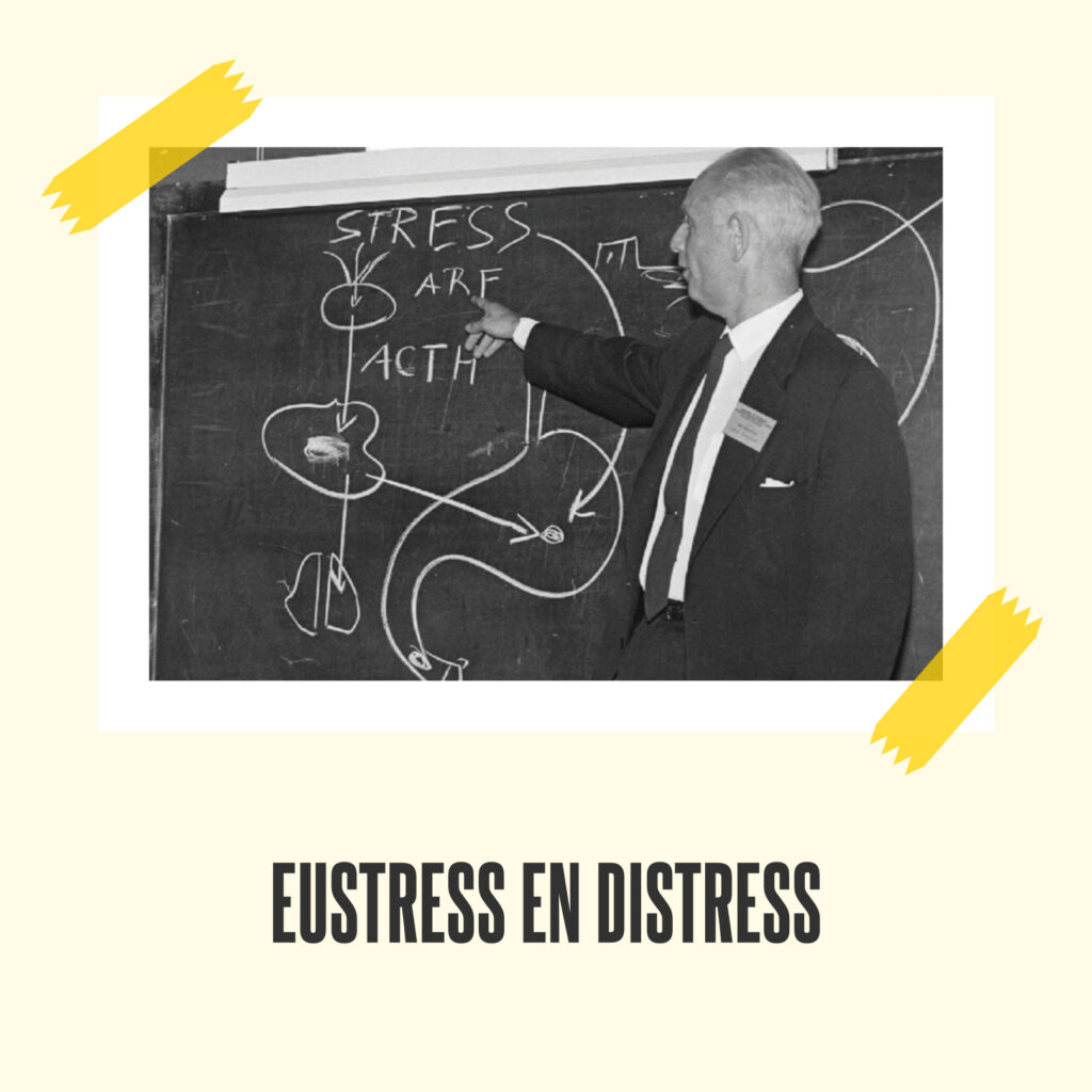 eustress en distress